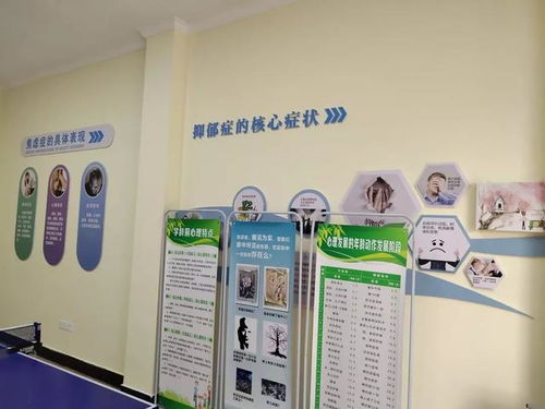 淳安心理服务体系新篇章 构筑覆盖城乡的“心灵港湾”